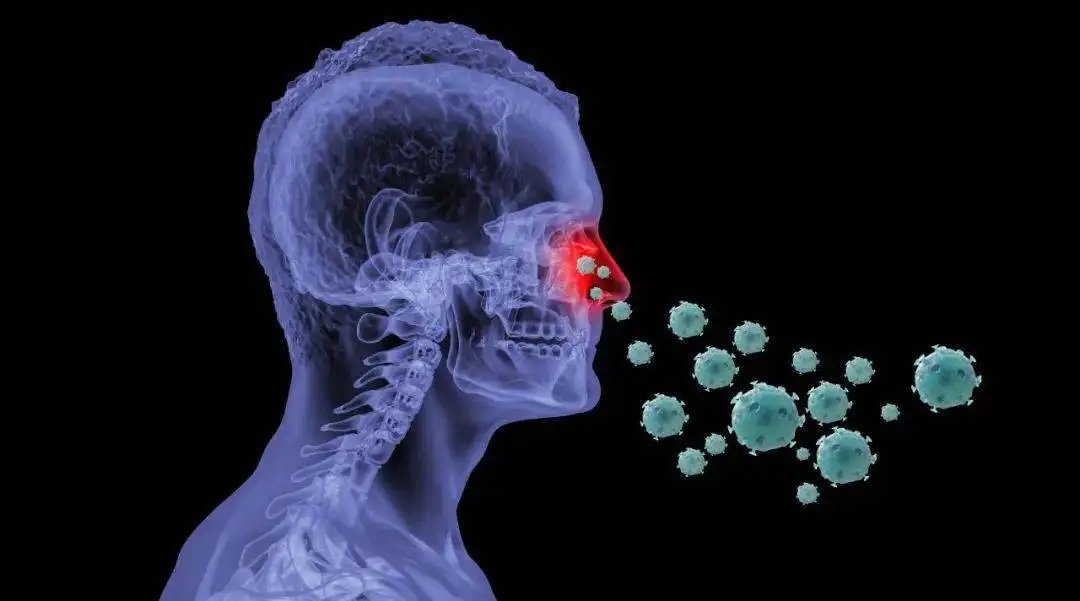 鼻病毒感染是什么引起的，日常消毒杀菌有用吗？