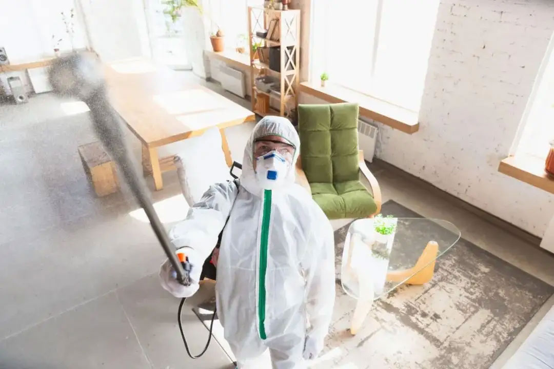 搬到新租的房子要怎么全面消毒杀菌？