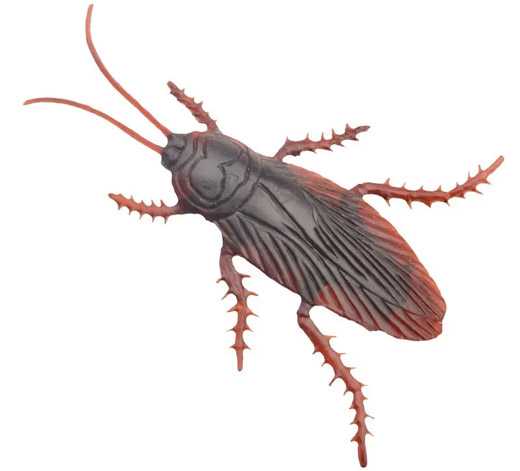 家里有蟑螂是什么原因造成的？怎么才能根除？